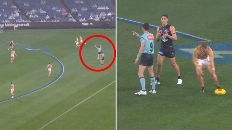 Gran AFL 'insultado' cuando el árbitro otorga a Hawthorn una