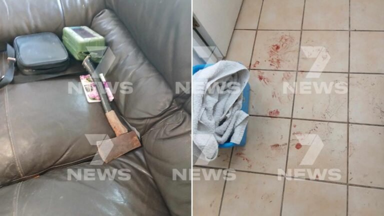 Hacha, sangre y bridas encontradas en una casa de Adelaida