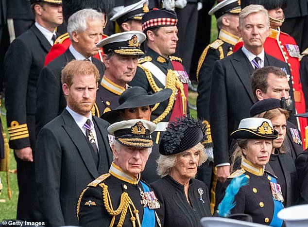 La "Guêpe" de Harry démissionne : l'assistant du roi que