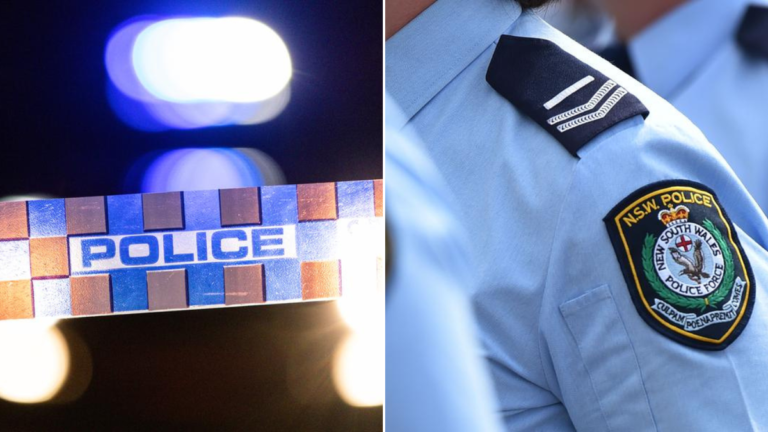 La policía acusó a un hombre de 23 delitos después