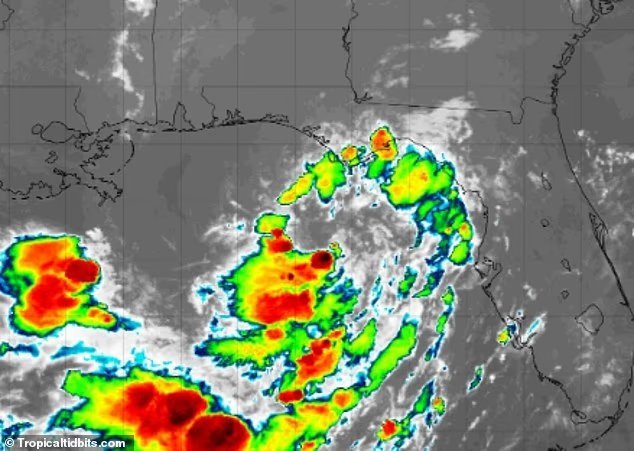 La tempête tropicale Bertha se formera au large des côtes
