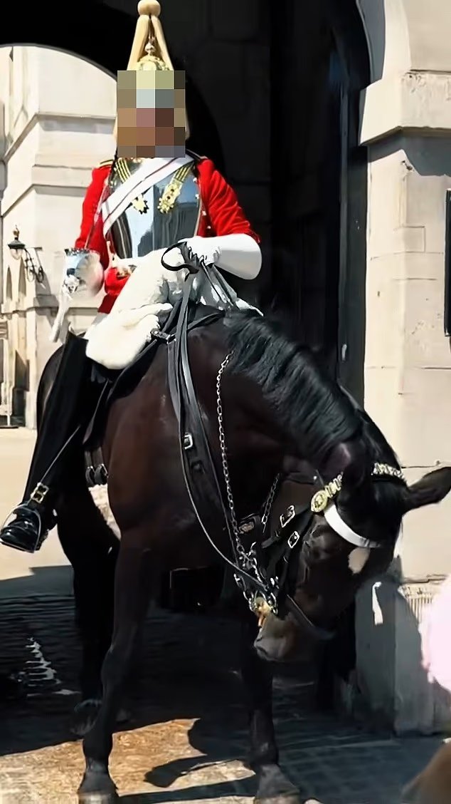 Le moment où un cheval de la Garde royale a