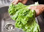 Le producteur de laitue Taylor Farms aurait rappelé des ingrédients