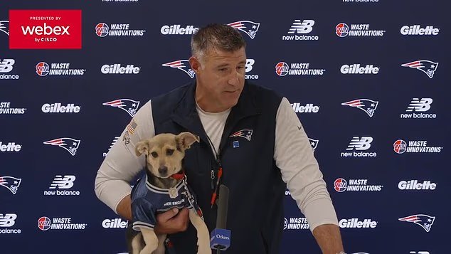 Les fans de la NFL critiquent Mike Vrabel pour avoir