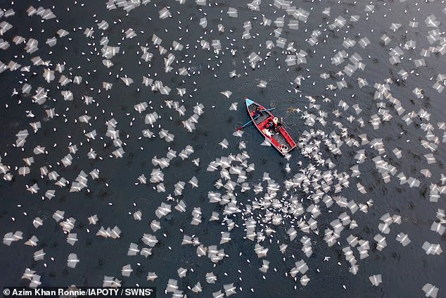 Les meilleurs clichés des Aerial Photographer of the Year Awards