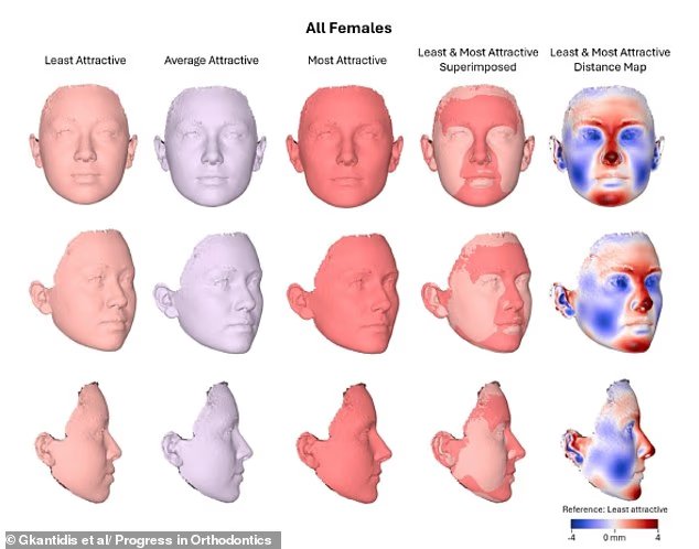 Les scientifiques révèlent les traits du visage les plus attrayants