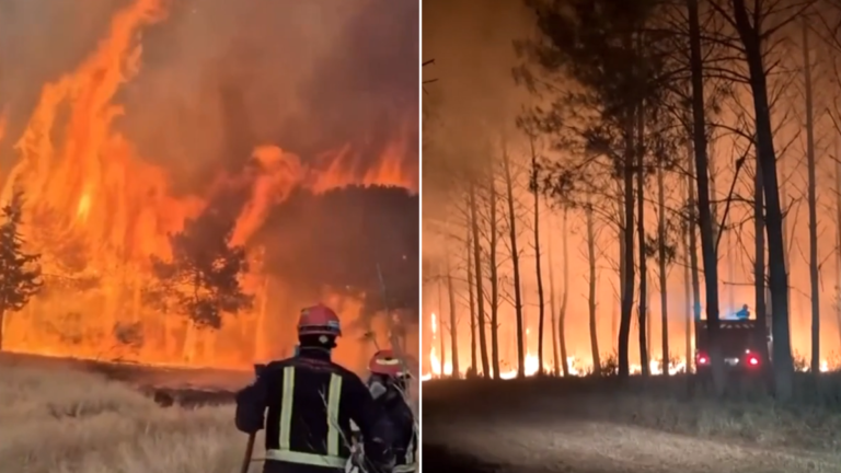 Los incendios forestales en Francia y España han matado a
