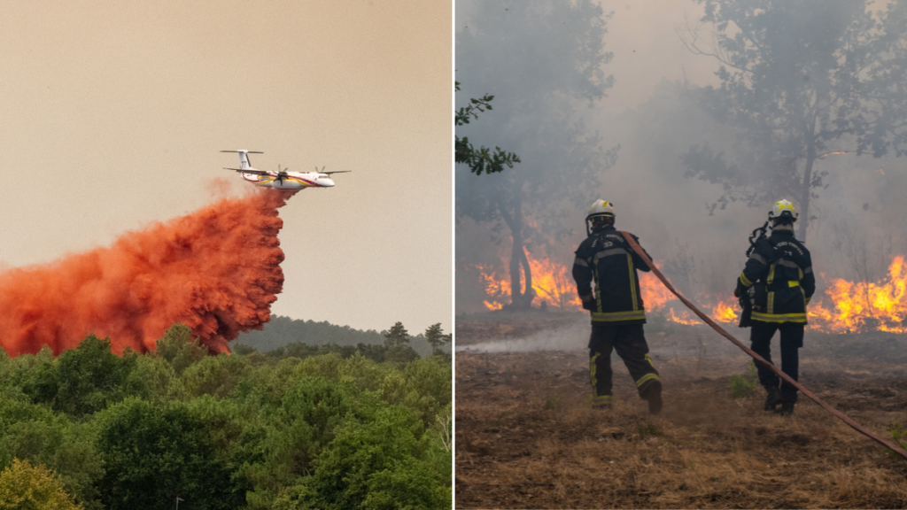 Los incendios forestales en Francia y España provocaron migraciones masivas