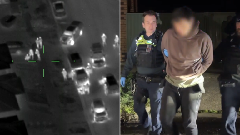 Presuntos ladrones de coches y conductores imprudentes arrestados durante la