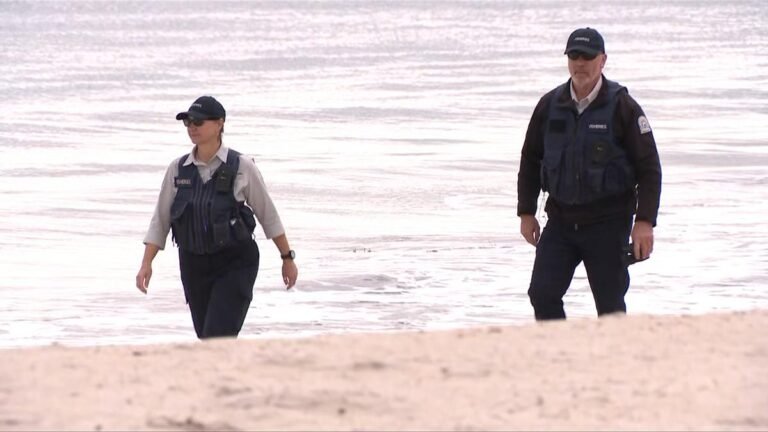 Se confirma la gripe aviar en Perth cuando el petrel
