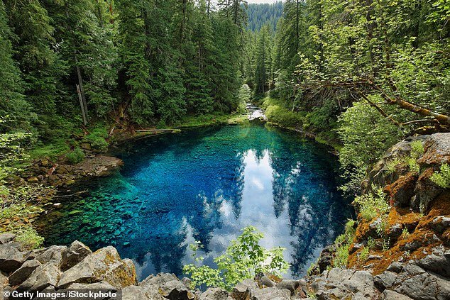 Ses eaux cristallines incitent les touristes à nager... pour les