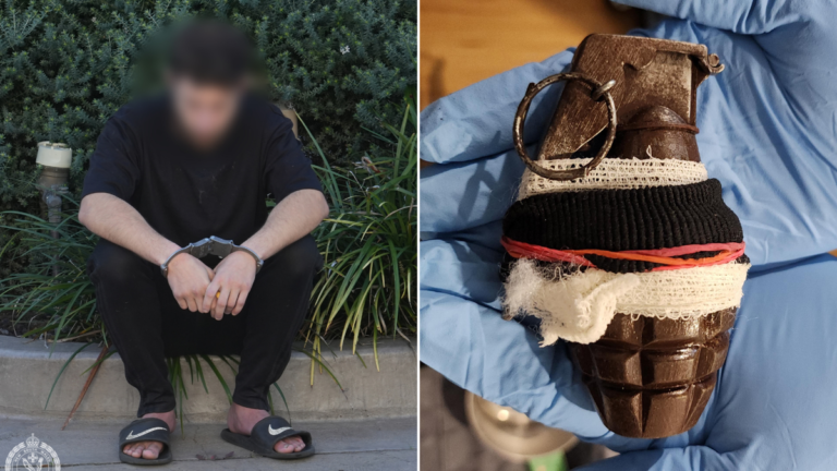 Supuestamente se encontraron armas, granadas y drogas por valor de