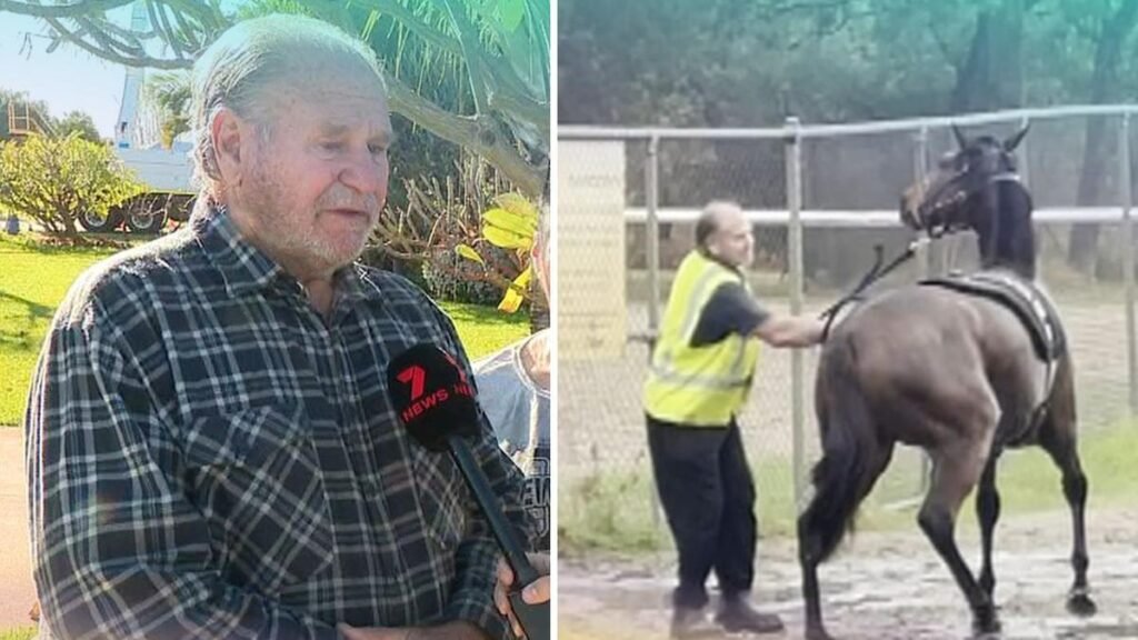 Un entrenador de caballos de carreras de Perth negó haber