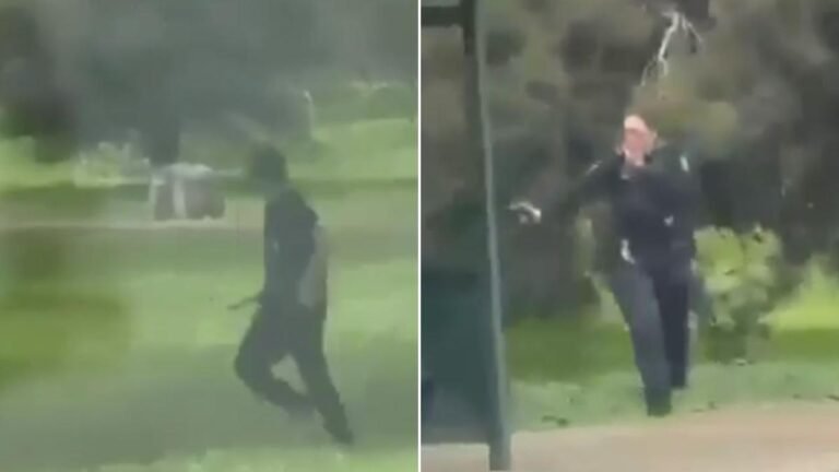 Un hombre acusado de apuñalar a una agente también está