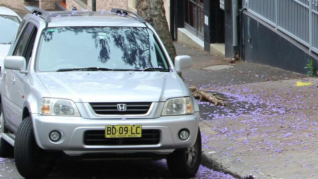 Vecinos ruidosos y estacionamiento poco fiable: se revelan las reglas